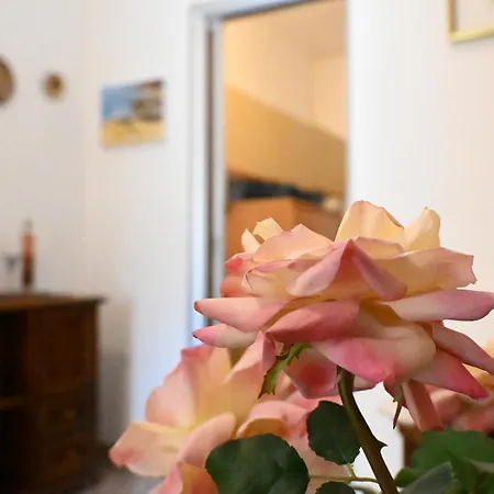 F008 - Fano, Bilocale A 200 Mt Dalla Appartement